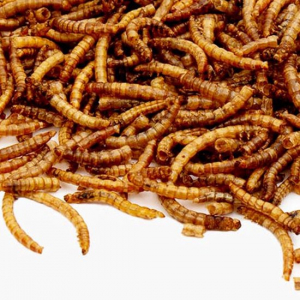 Meelwormen gedroogd 500 gram